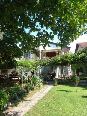 Apartmani Pasuljevic Srebrno Jezero